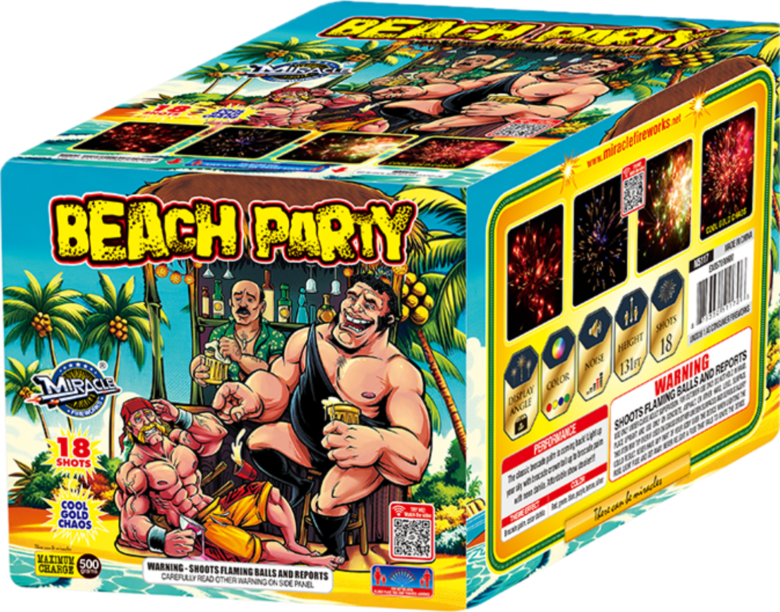 Beach Party 18 shot (1)