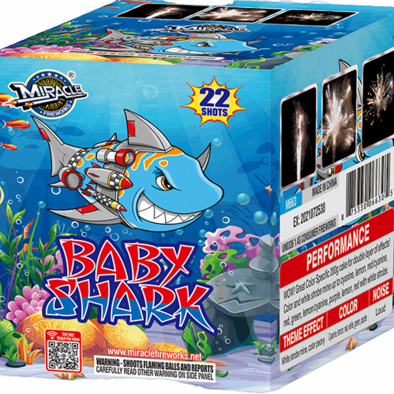 Baby Shark 22 shot
