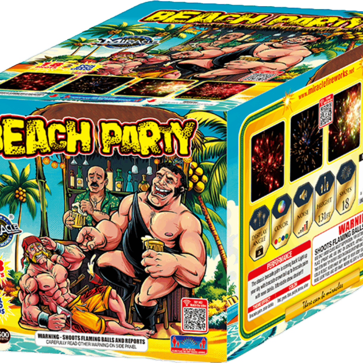 Beach Party 18 shot (1)