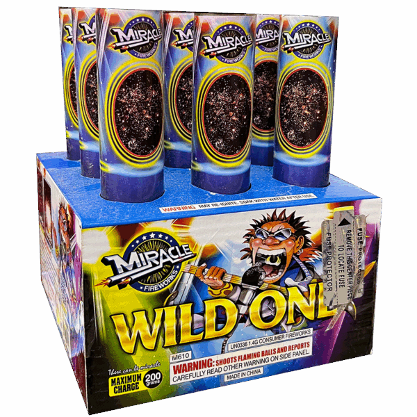WildOne-600x625